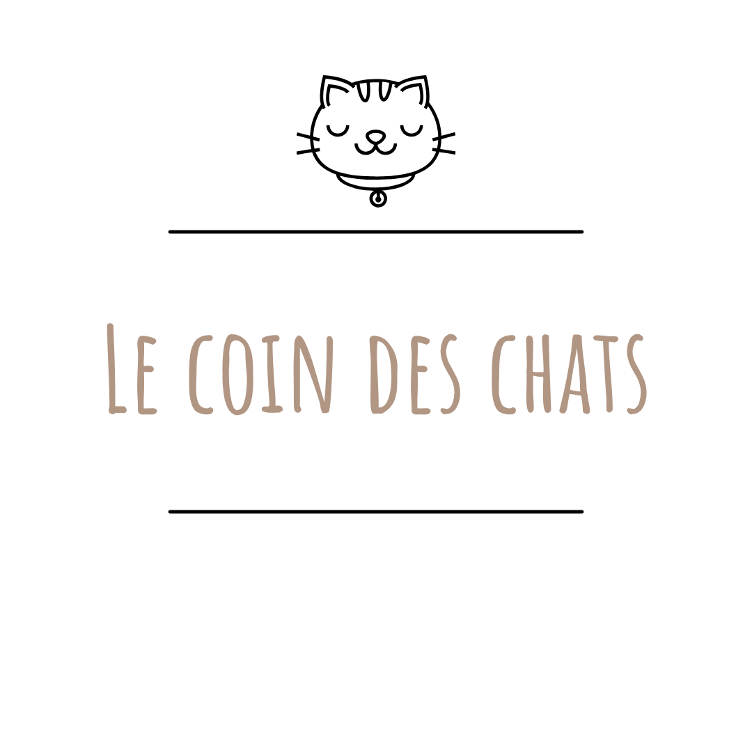 Le coin des chats