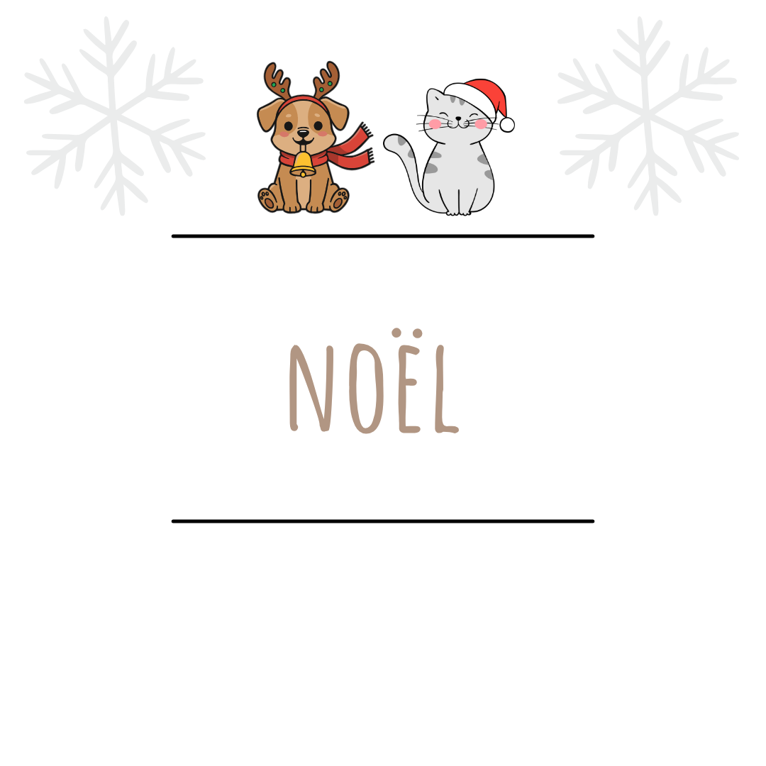 Noël 🎄❄️
