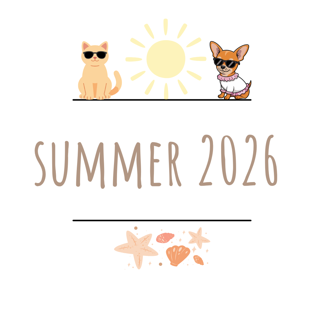 Summer 2026 ☀️