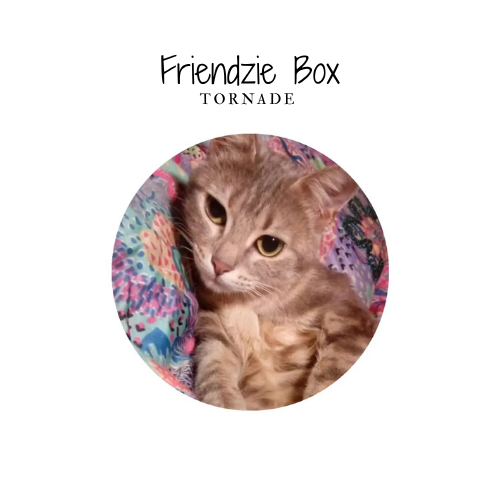 Friendzie box - by Tornade 🕊️- 5 produits