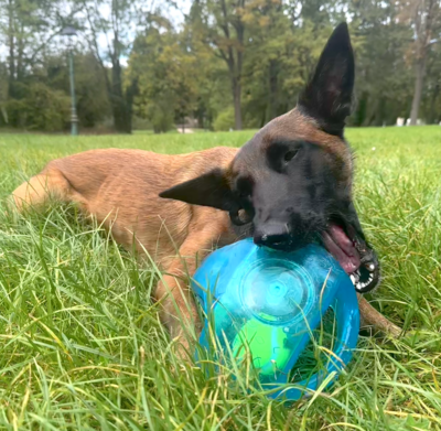 Kong® - Ballon Jumbler