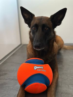 Ballon - Kick Fetch - Chuckit!