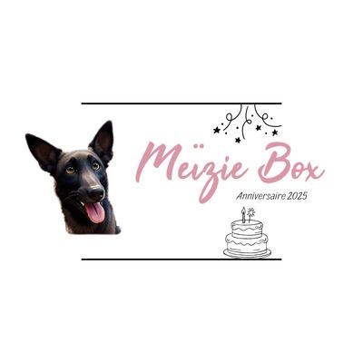 MeizieBox - Anniversaire - Mini ou Maxi