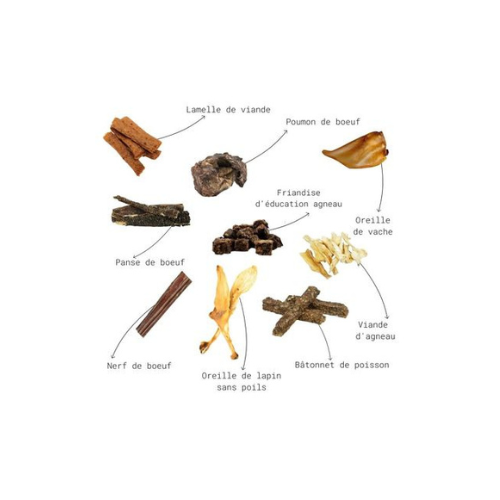 Pack mastication - Découverte