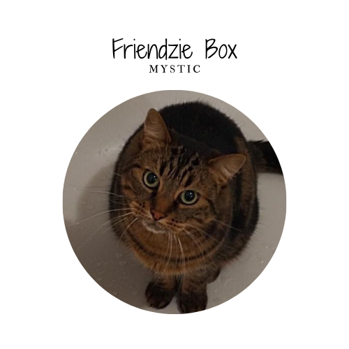 Friendzie box - by Mystic - 4 friandises