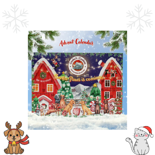 Noël 🎄🎅 - Calendrier de l'avent pour chien - Cooka's Cookies
