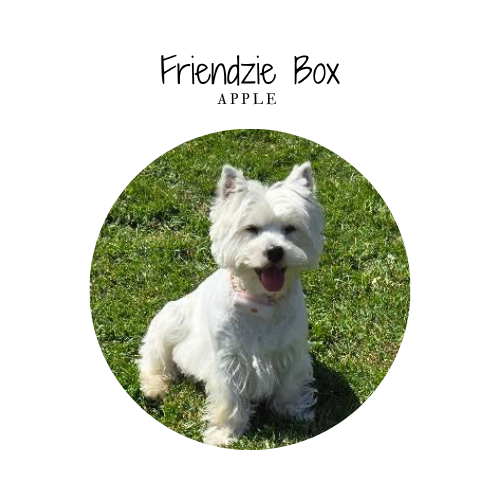 Friendzie box - By Apple - 6 friandises