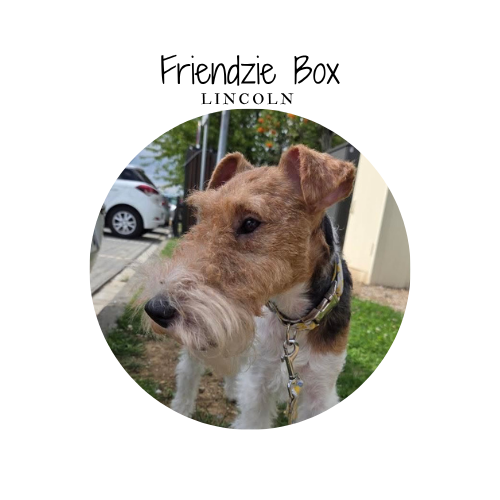 Friendzie box - by Lincoln - 7 friandises