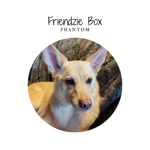 Friendziebox - by Phanthom - 5 produits