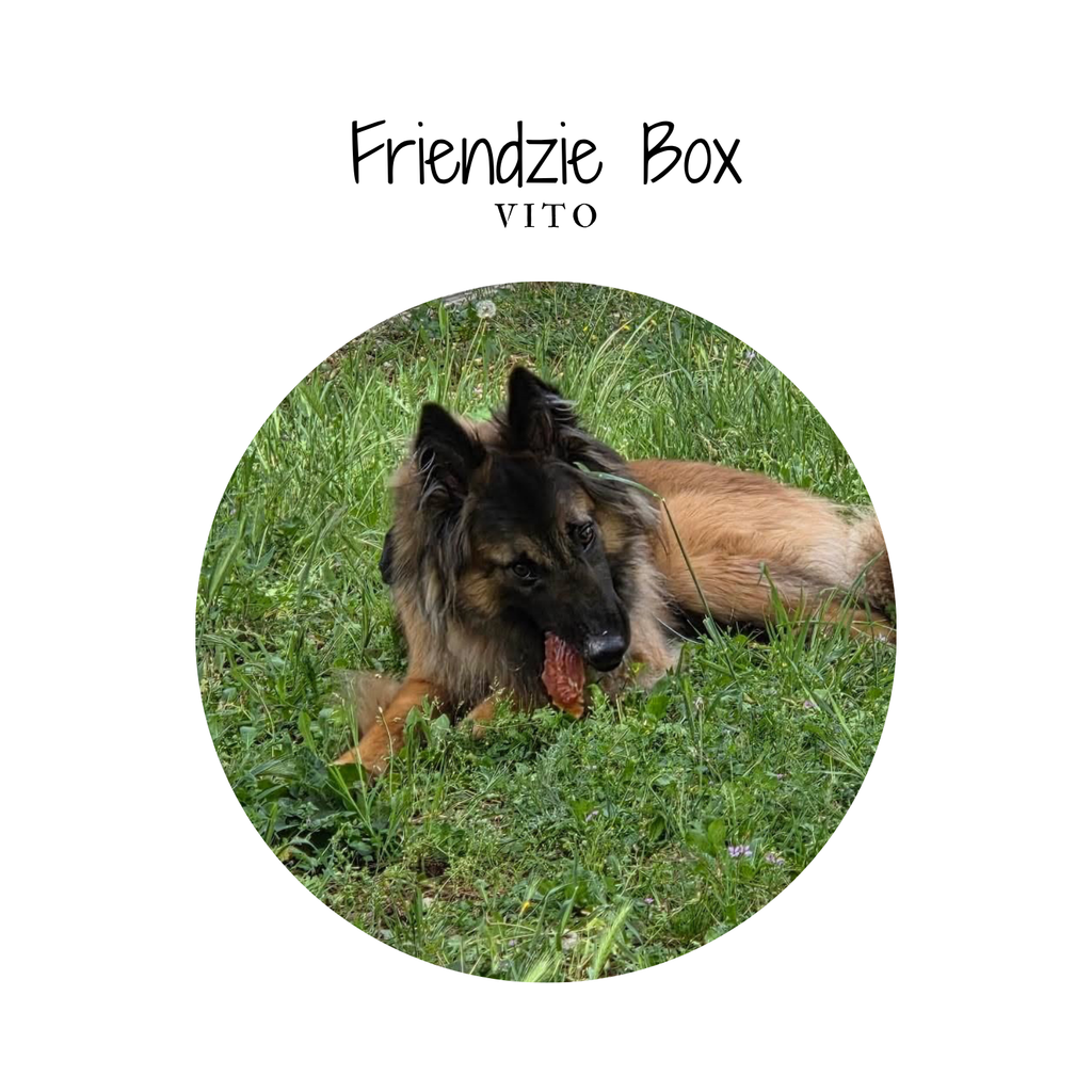 Friendzie box - By Vito - 5 friandises