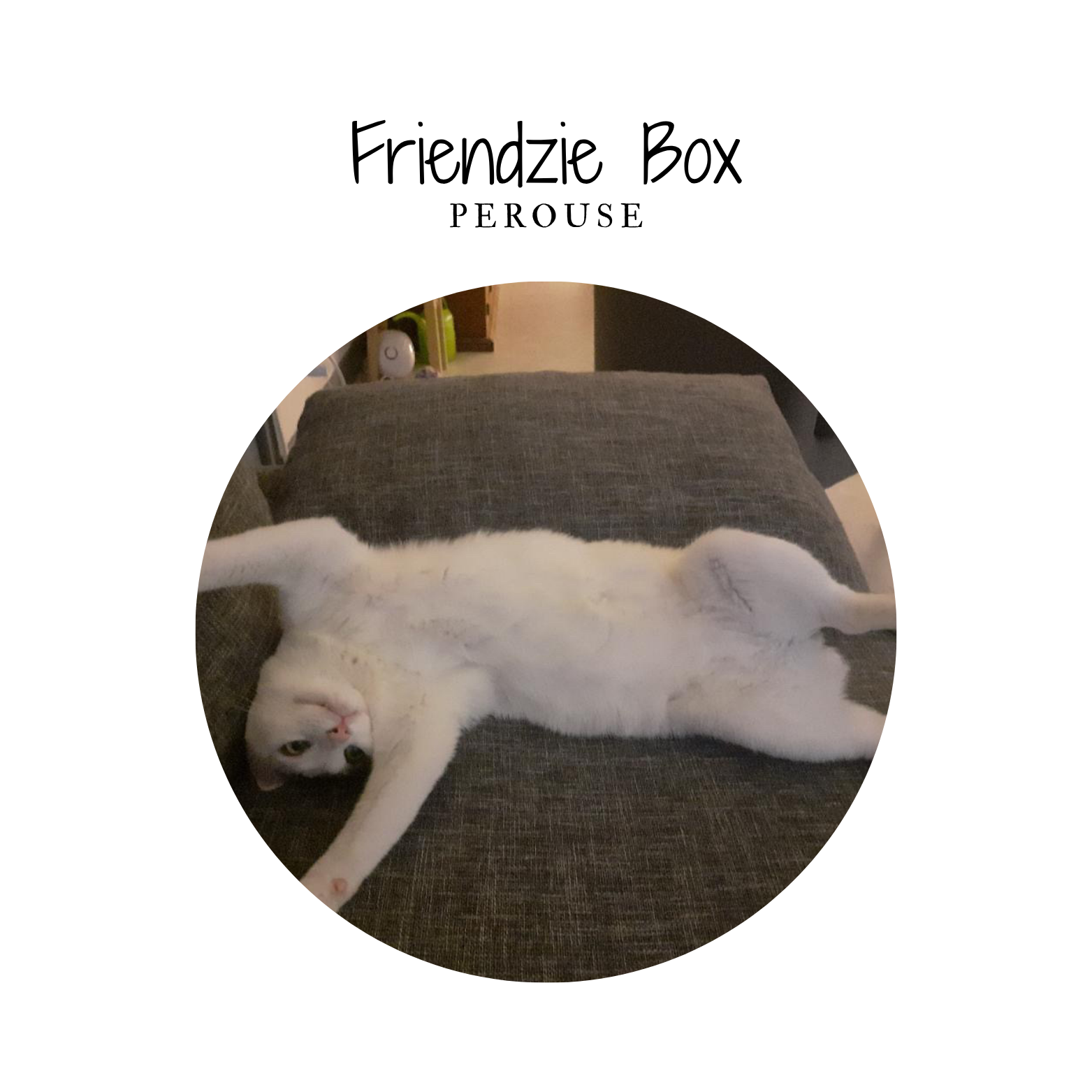 Friendzie box - By Pérouse - 6 friandises