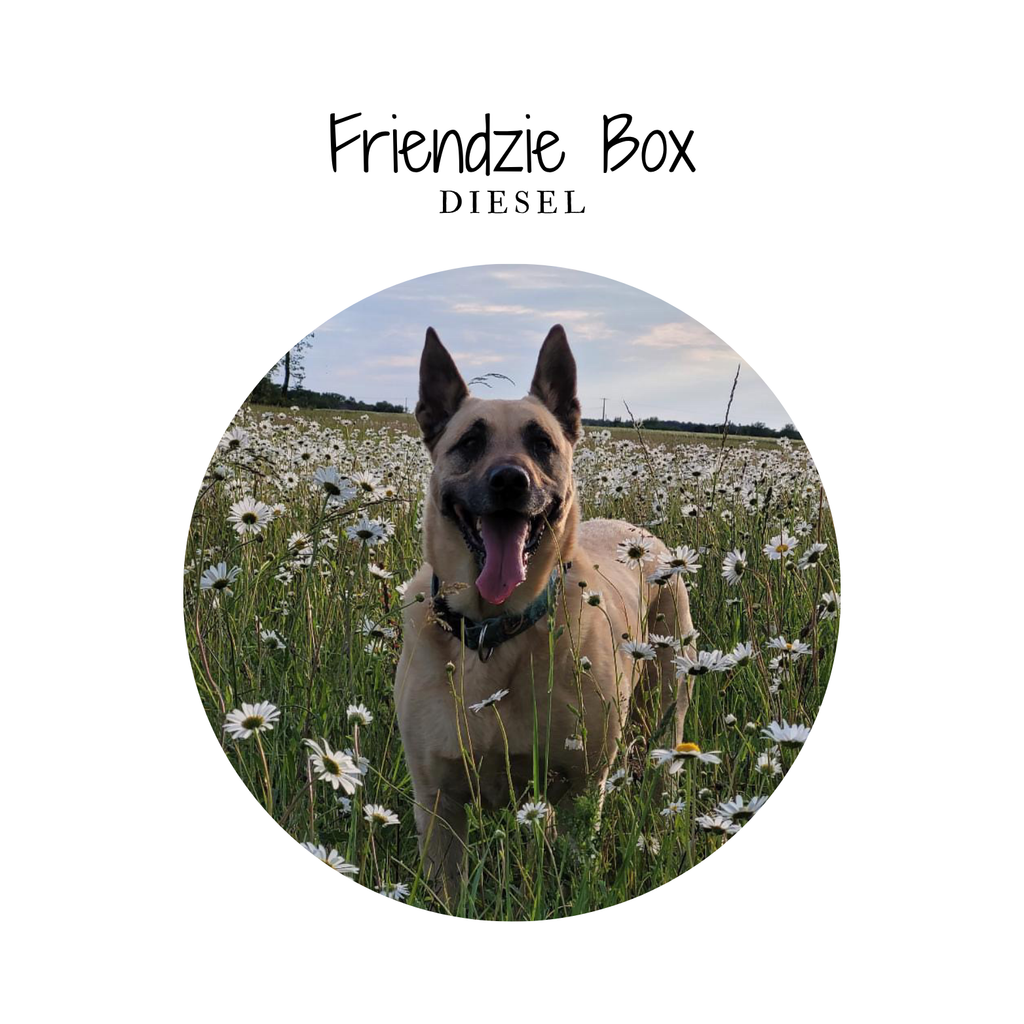 Friendzie box - by Diesel - 8 friandises