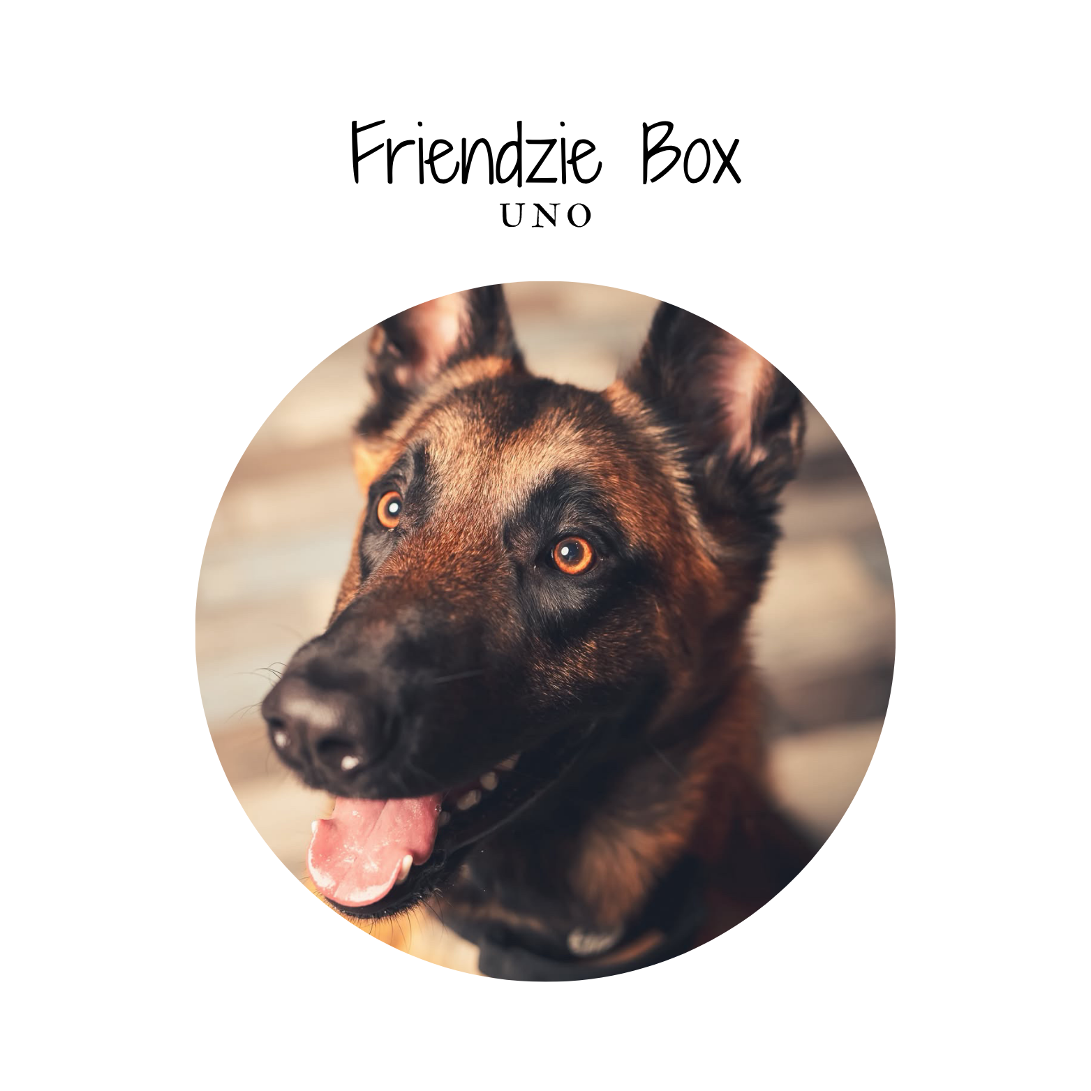 Friendzie box - by Uno - 6 friandises