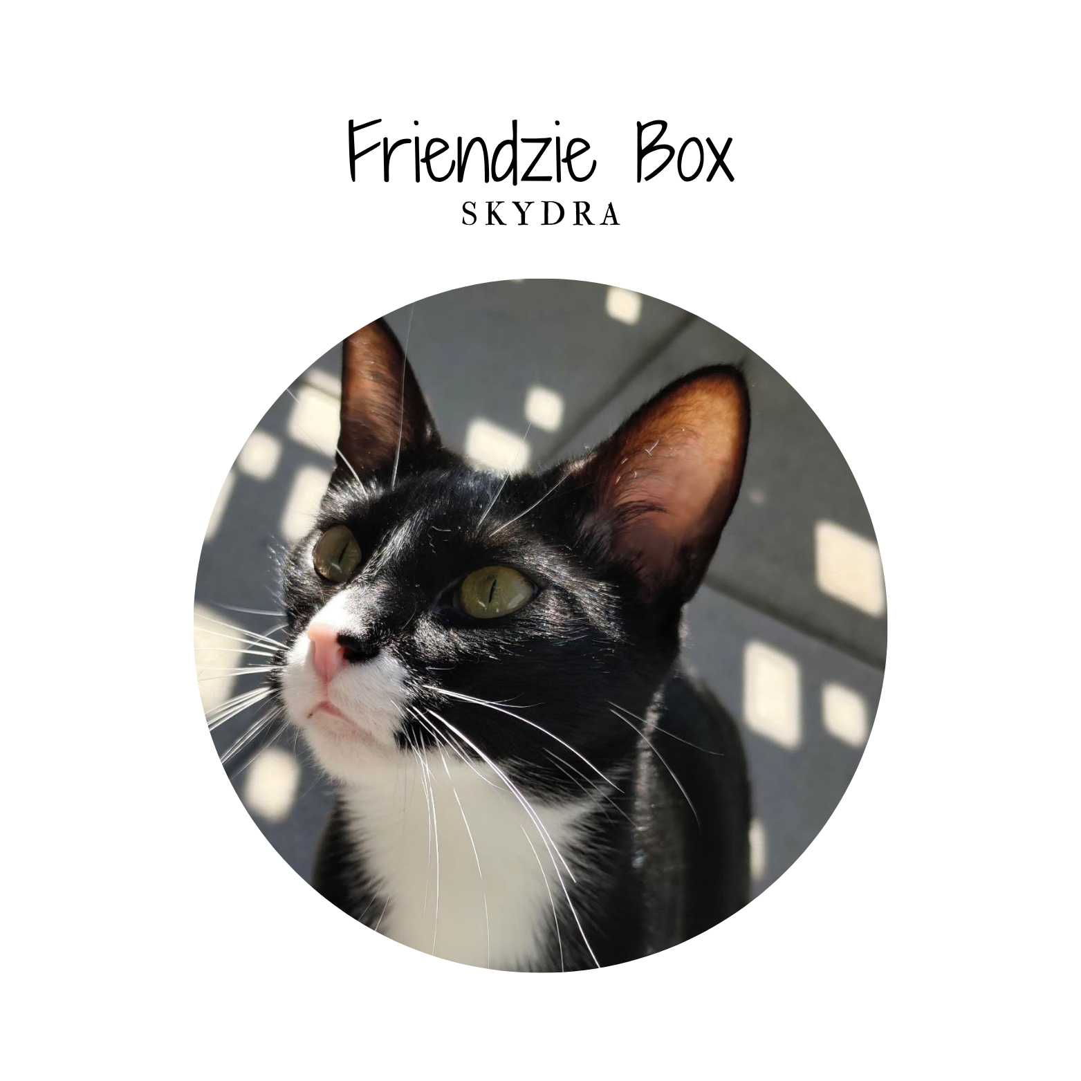 Friendzie box - by Skydra - 5 friandises