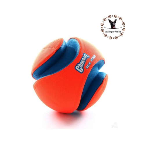 Ballon - Kick Fetch - Chuckit!