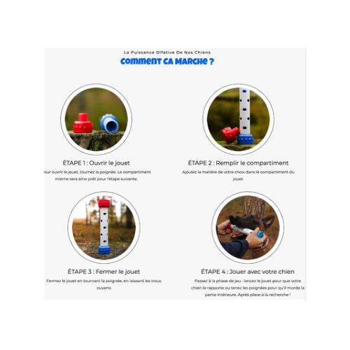 Jouet de recherche & d'interaction - EXCLUSIF Seven Malinois