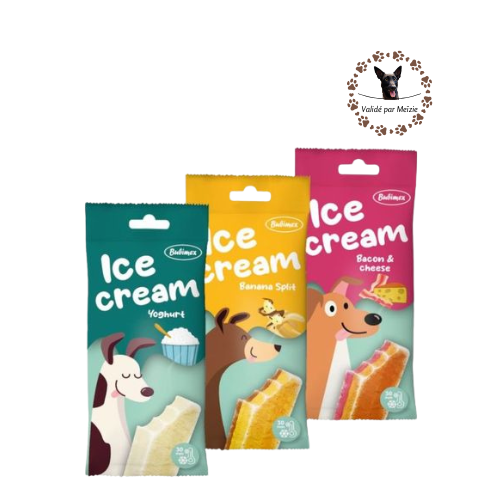☀️ Summer 2026 - Glace - Ice Cream - Friandise à congeler