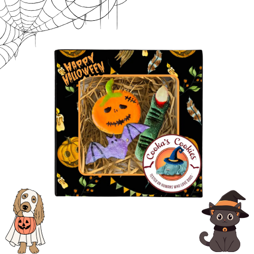 Halloween 🎃 - Coffret biscuits 100% naturels - Dinde
