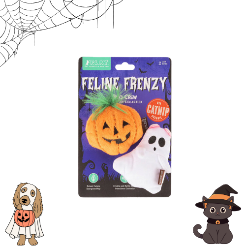 Halloween 🎃 - Chat - Fantôme et citrouille