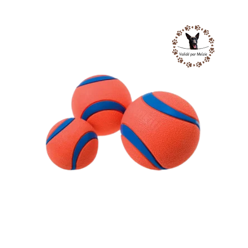 Balles Chuckit! - Lot de 2