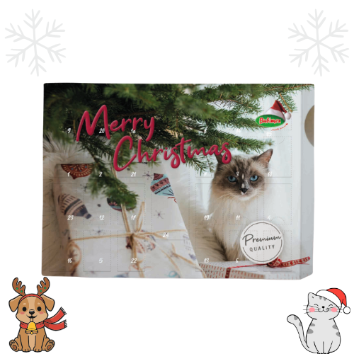 Noël 🎄🎅 - Calendrier de l’avent Premium - Chat 🐱