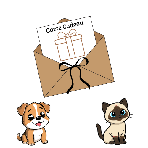 Carte cadeau - Meiziefamily