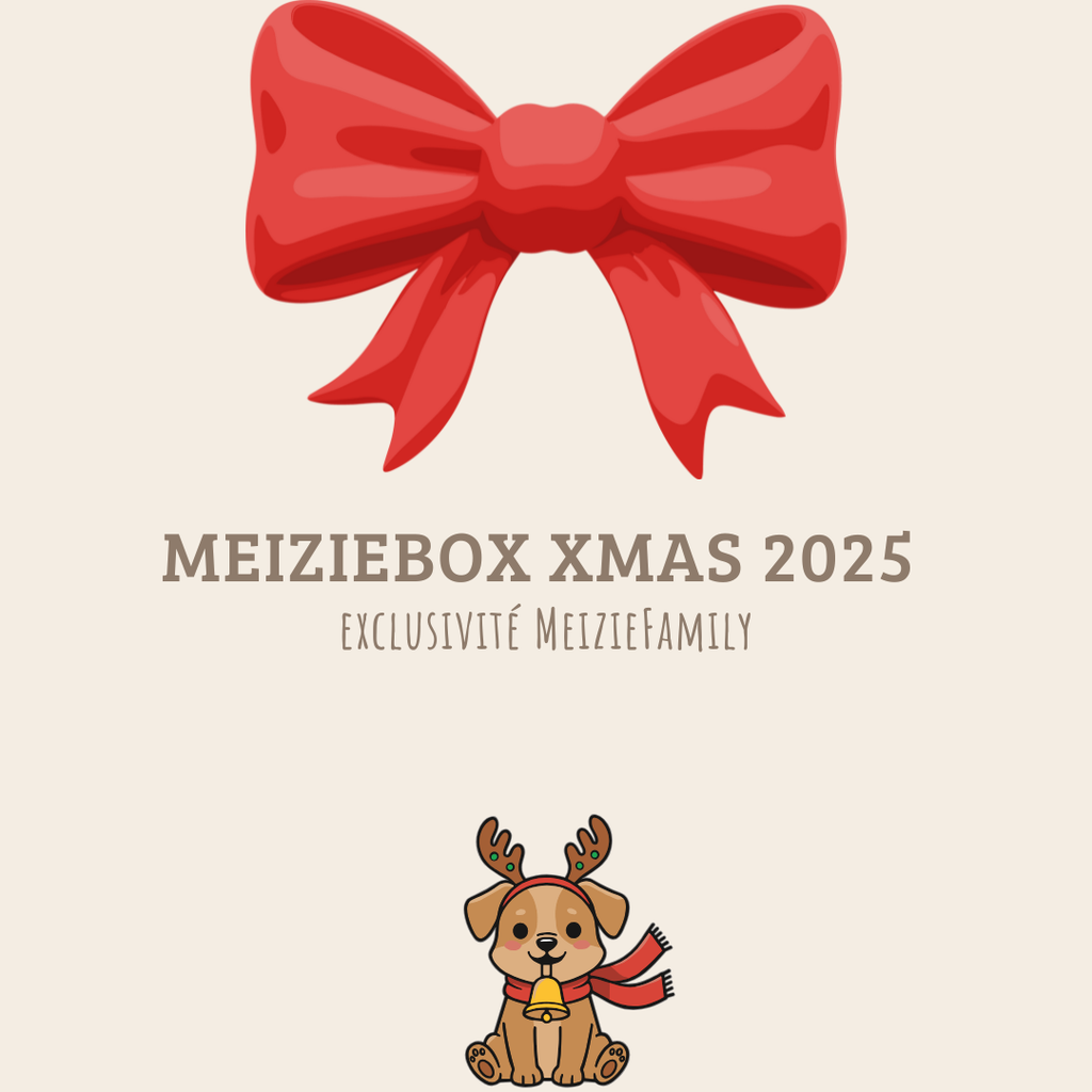 Noël 🎄🎅 - MeizieBox Xmas 2025